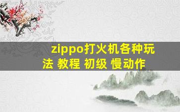 zippo打火机各种玩法 教程 初级 慢动作